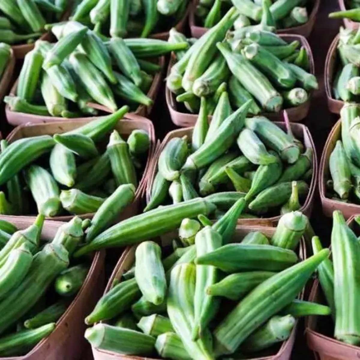 Ladyfinger - Image 2